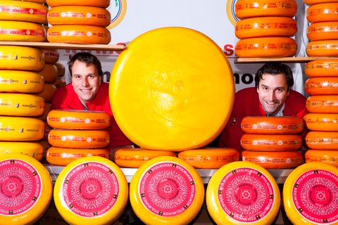 Cheese Heads Cheese Heads